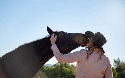 Terapia asistida con caballos: Equinoterapia en Hotel Kennedy de Santiago